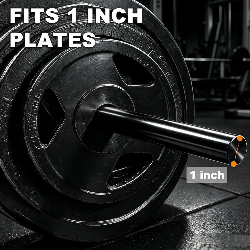 Standard Barbell 300 LB Capacity