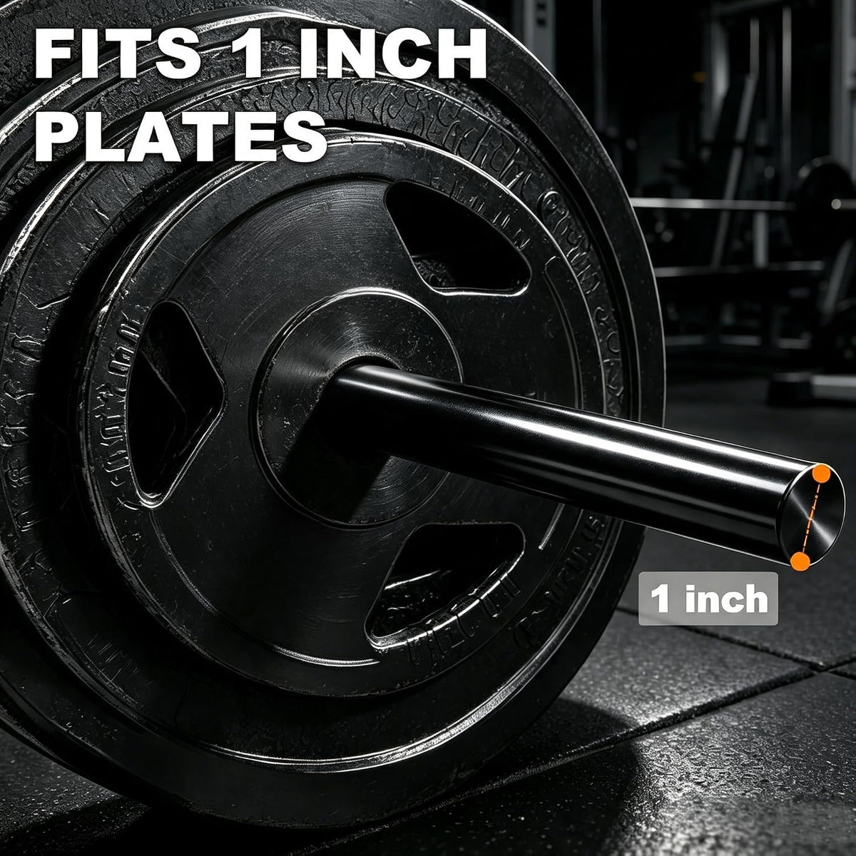 Standard Barbell 300 LB Capacity