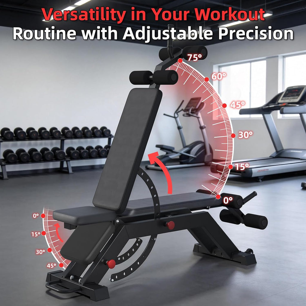 Weight Bench